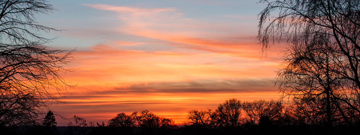 January Sunset.jpg